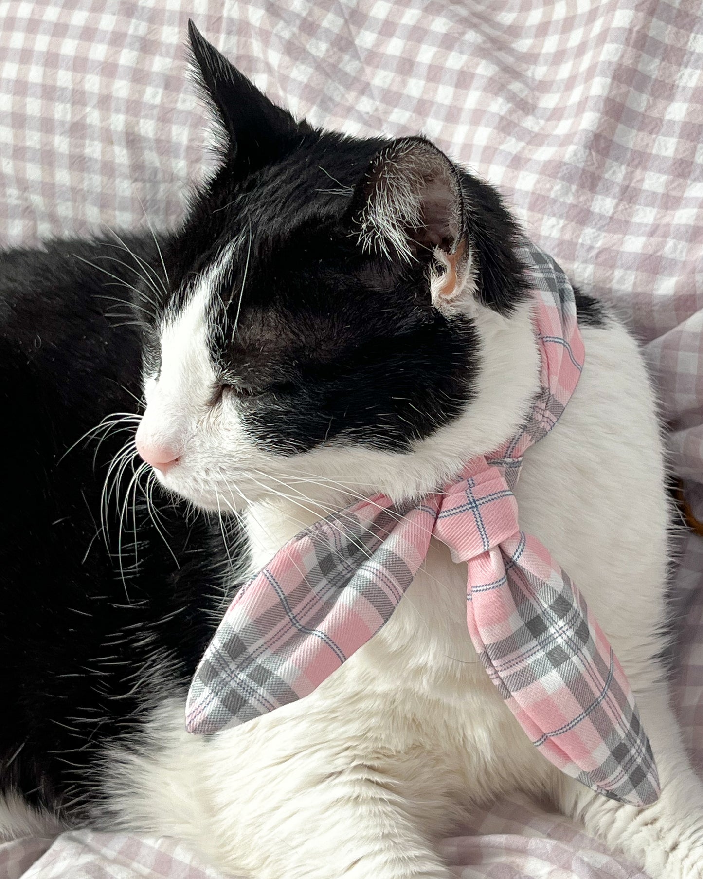 Little Pet Berry Bandana