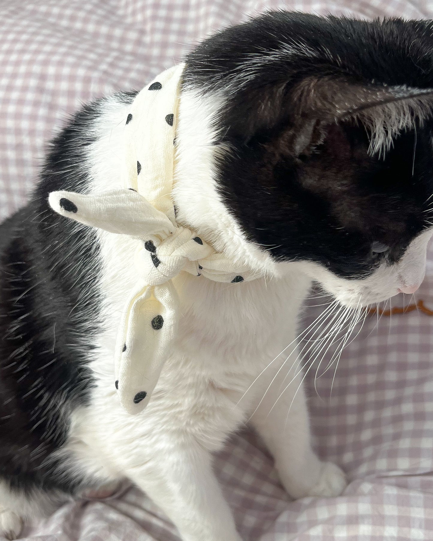 Little Pet Lucia Bandana