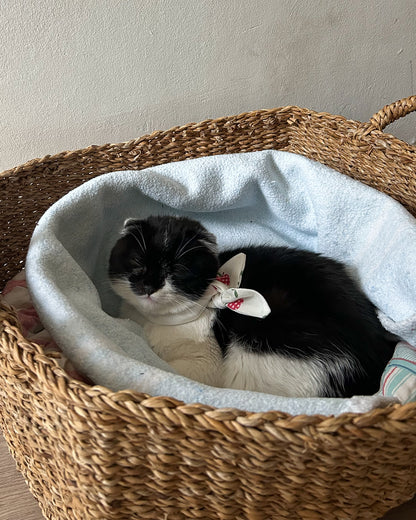 Little Pet Manzanas Bandana