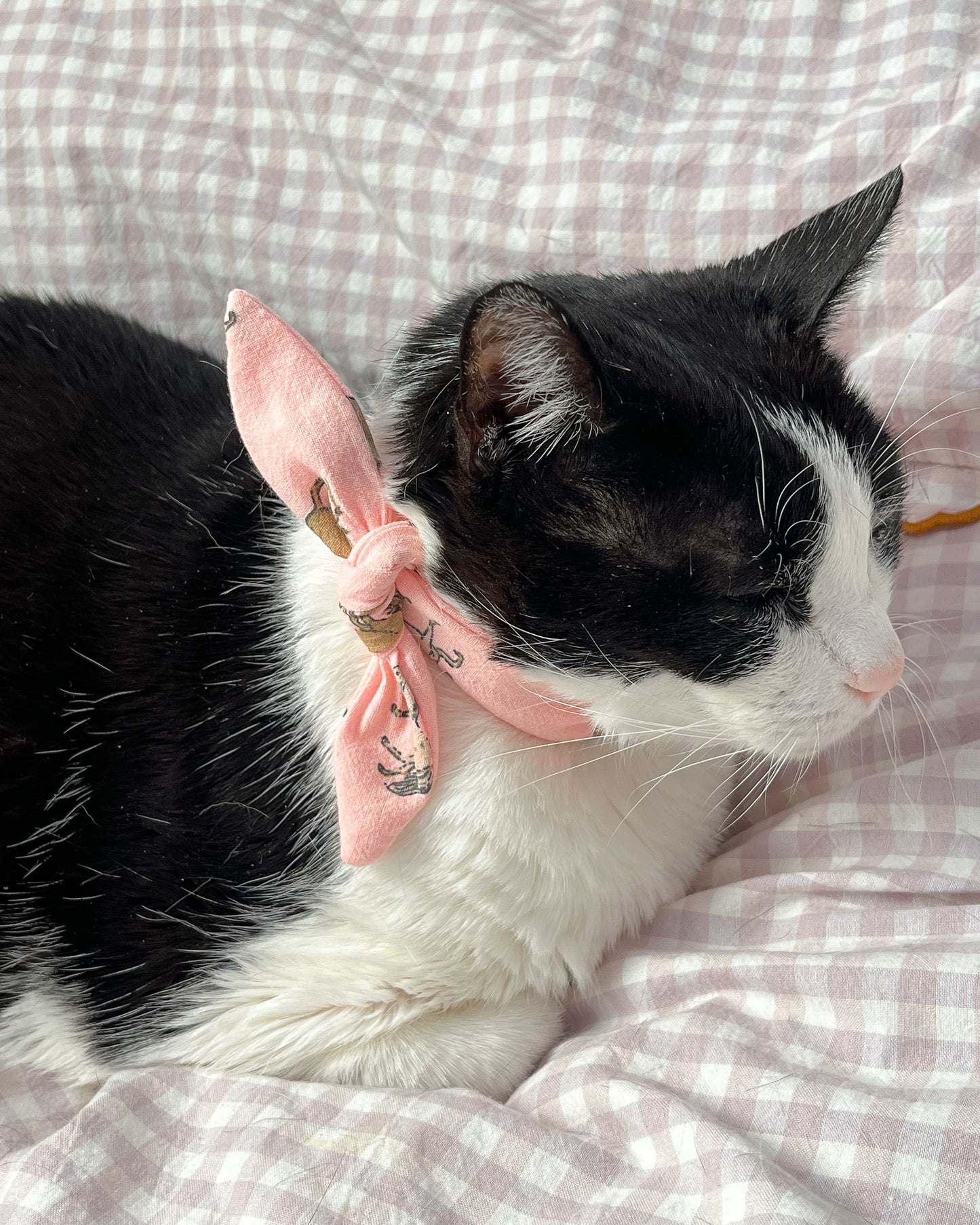 Little Pet Horses Bandana