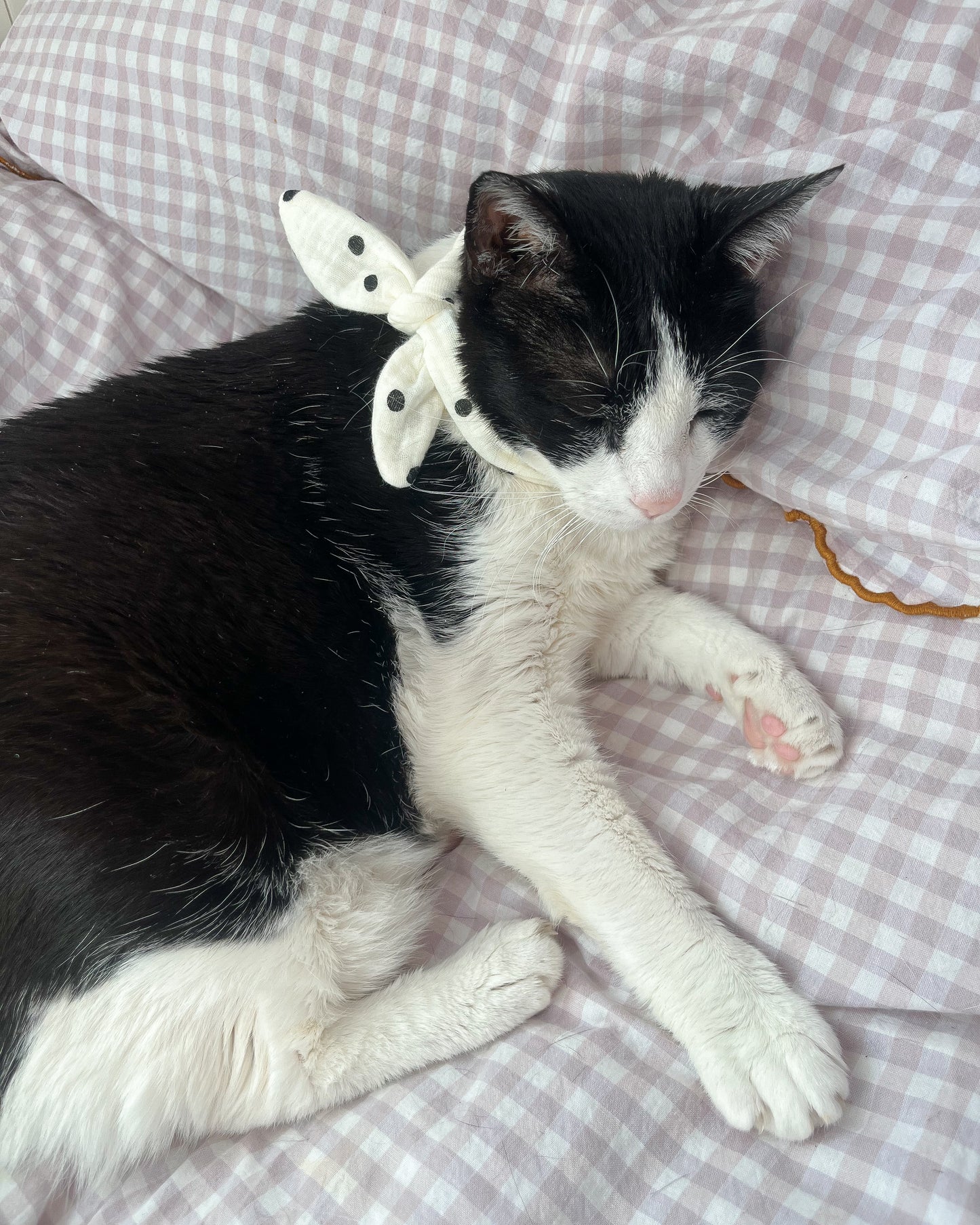 Little Pet Lucia Bandana