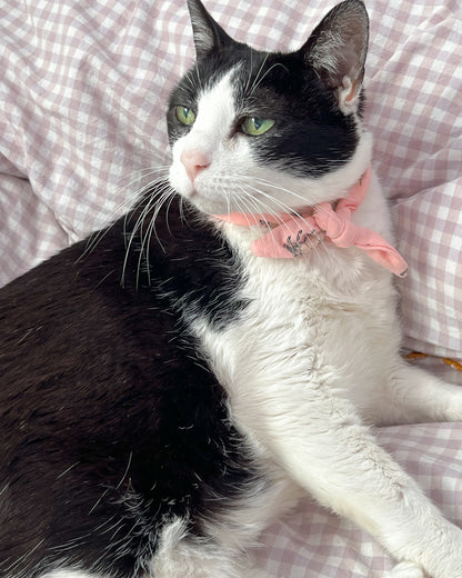 Little Pet Horses Bandana