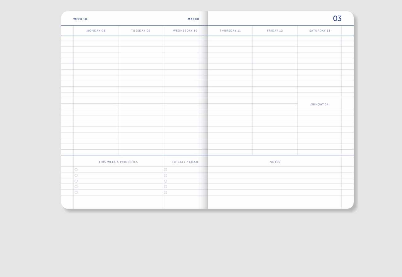 AGENDA RAYAS FINAS