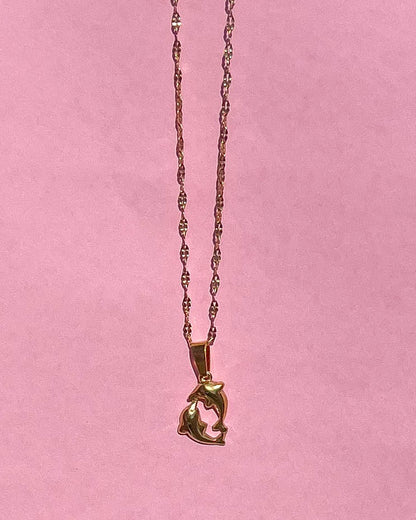 Collar Dolphin Duo